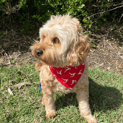 Christmas themed reversible dog bandana, let's pawty 