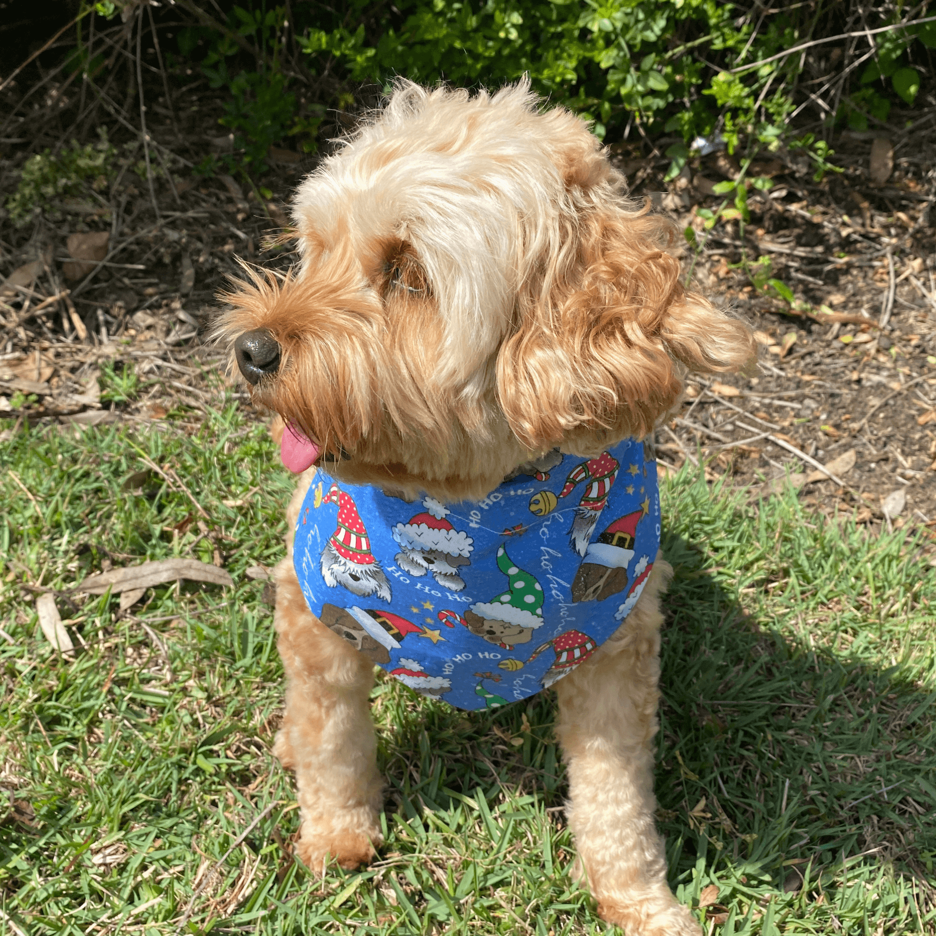 reversible christmas dog bandana Let's Pawty Sydney