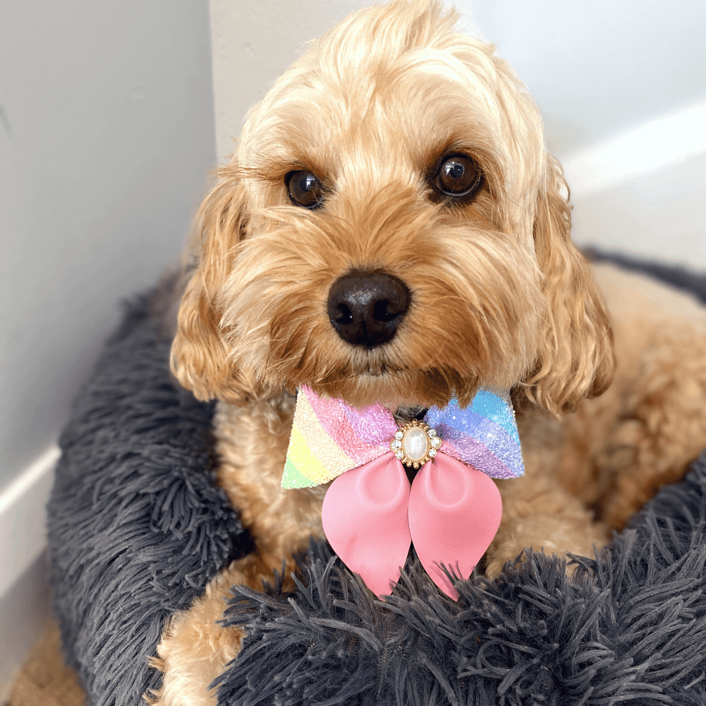 Dog sailor bow fashion accessory for your furbaby