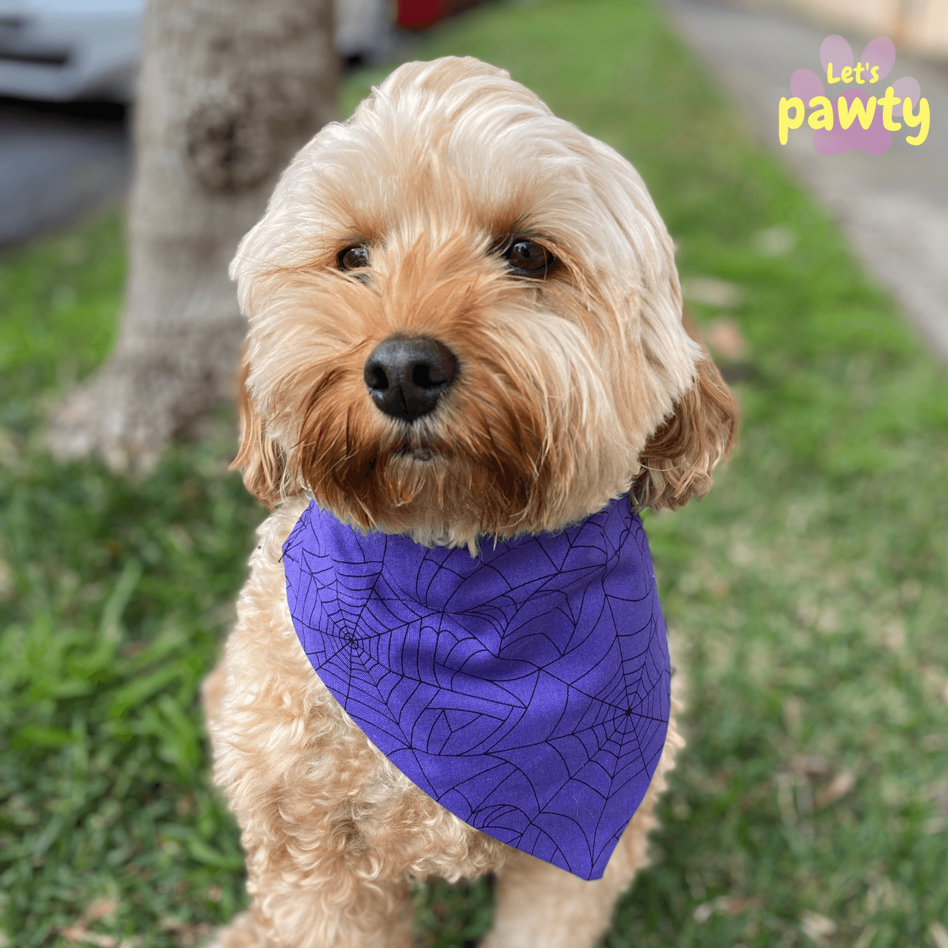 Reversible dog bandana, halloween themed