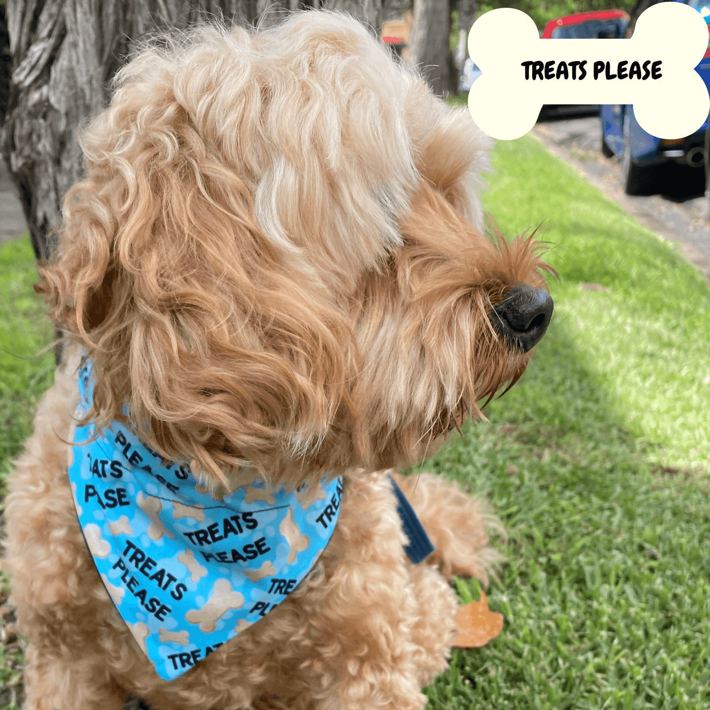 treats please reversible dog bandana, let's pawty handmade