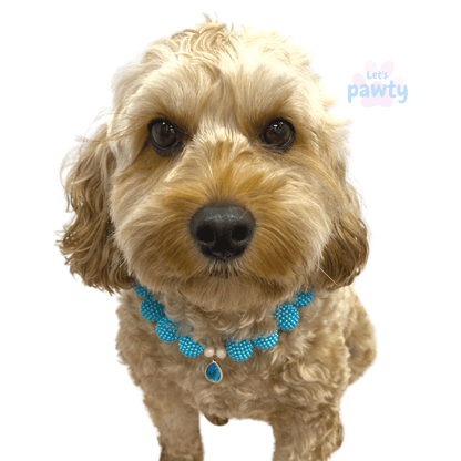 Fashion dog jewellery necklace, let's pawty, Australia