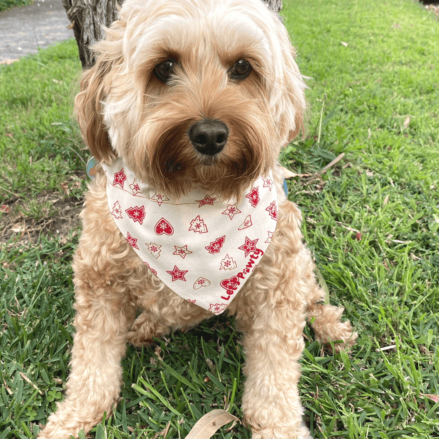 Reversible dog bandana christmas themed, let's pawty  Edit alt text