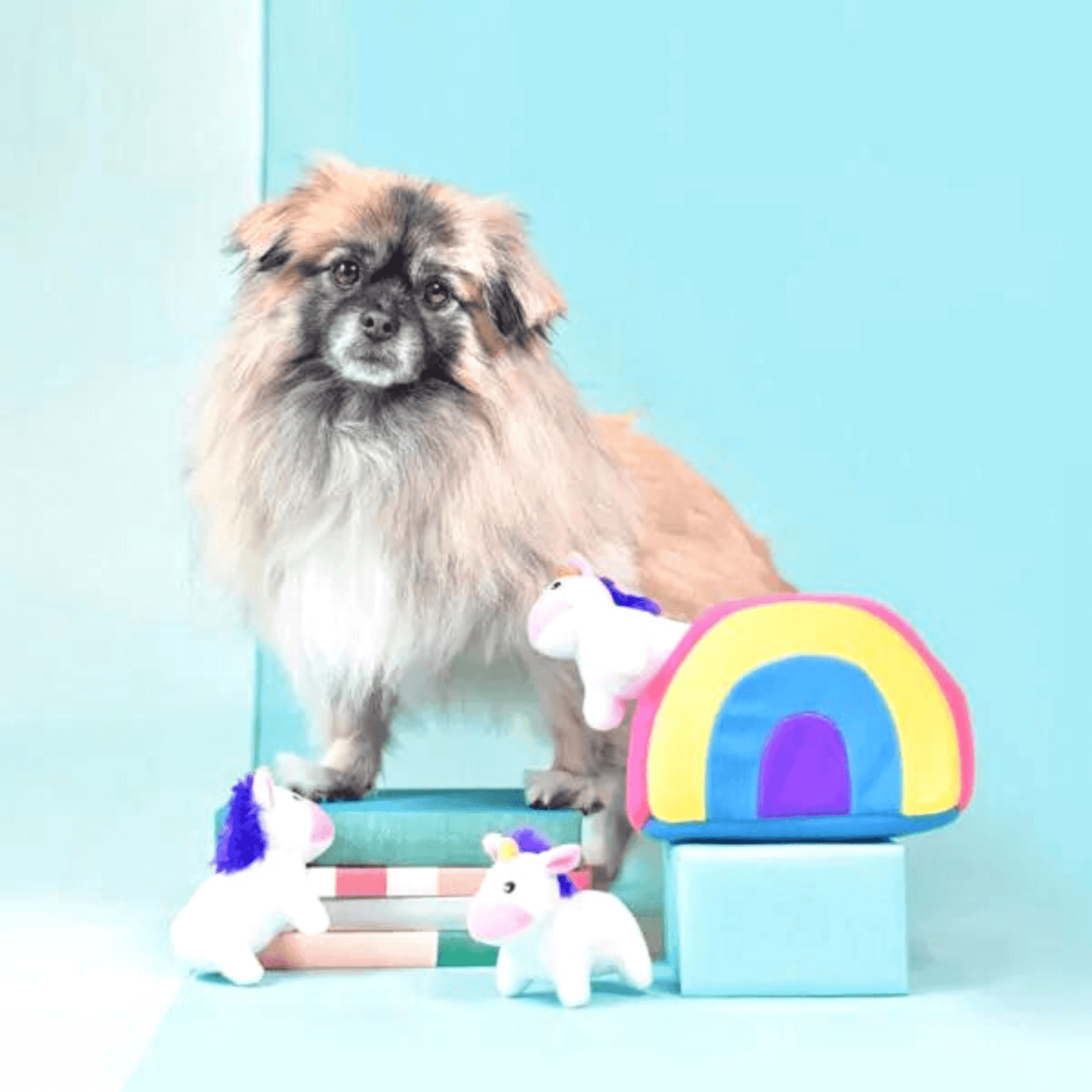 Unicorn Rainbow Dog toy burrow, interactive, fun, squeaky