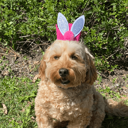 dog party hat crown, bunny ears, let's pawty handmade