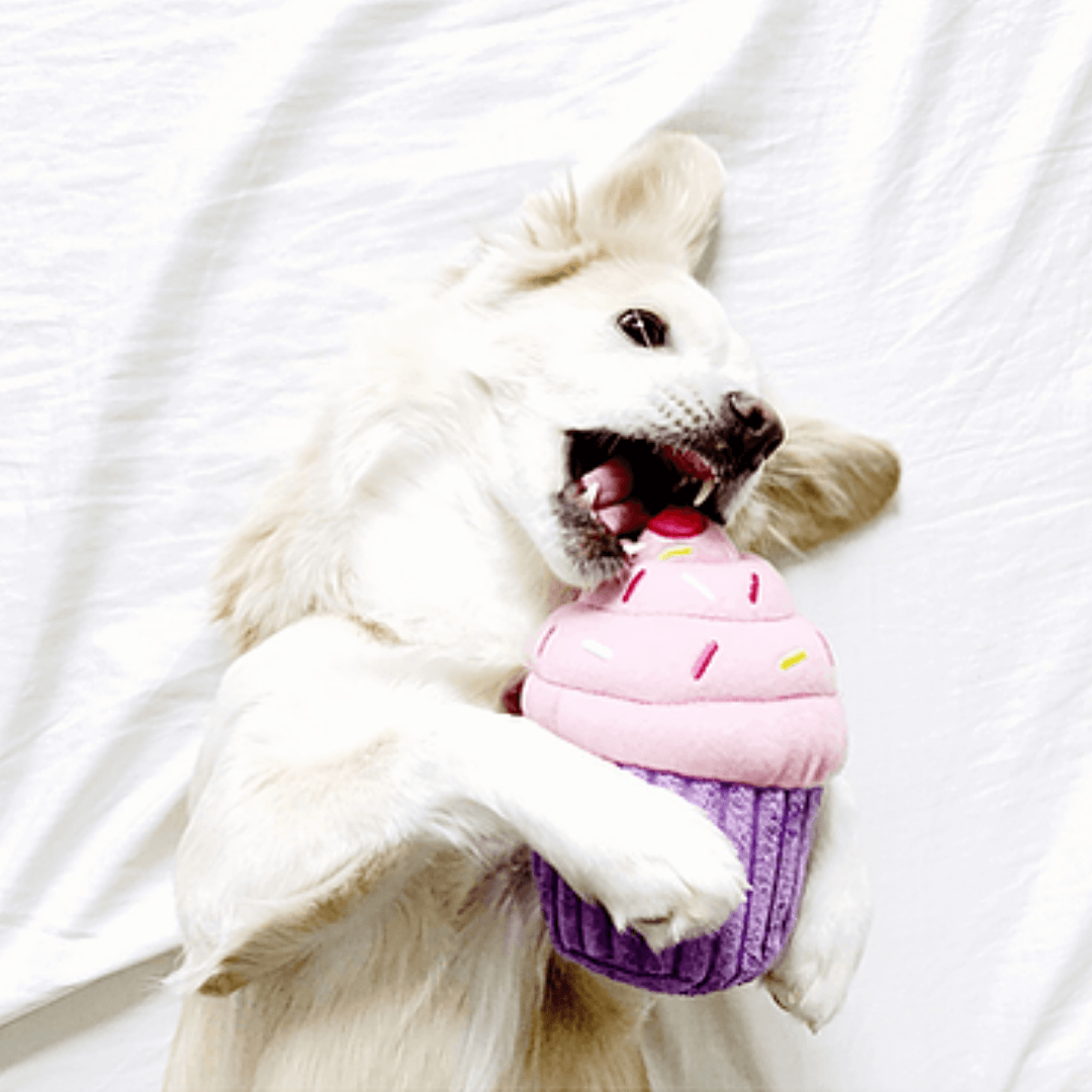 cupcake dog toy in pink Let's Pawty Sydney