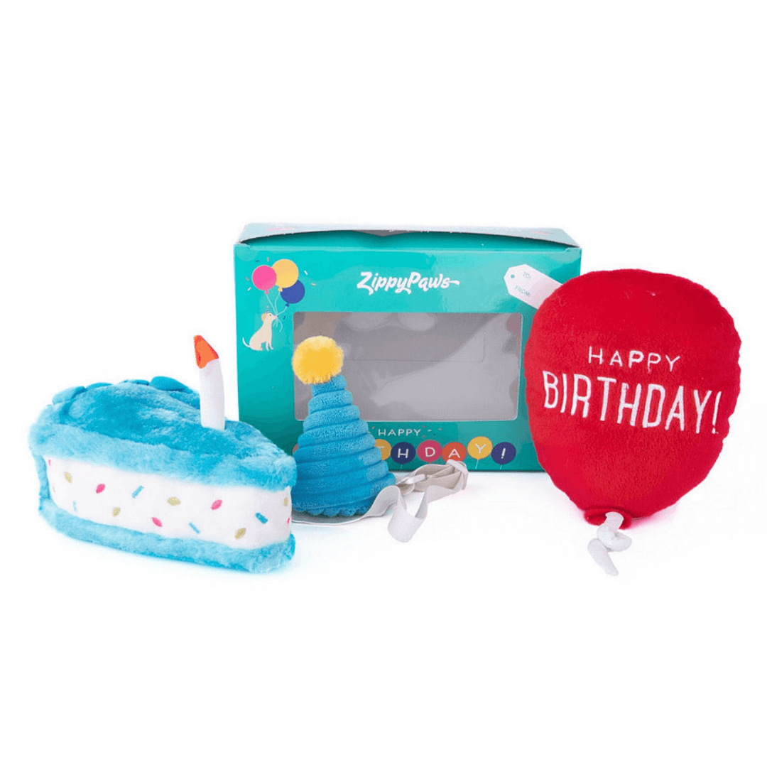 dog gift box with cake balloon and party hat Let's Pawty Sydney