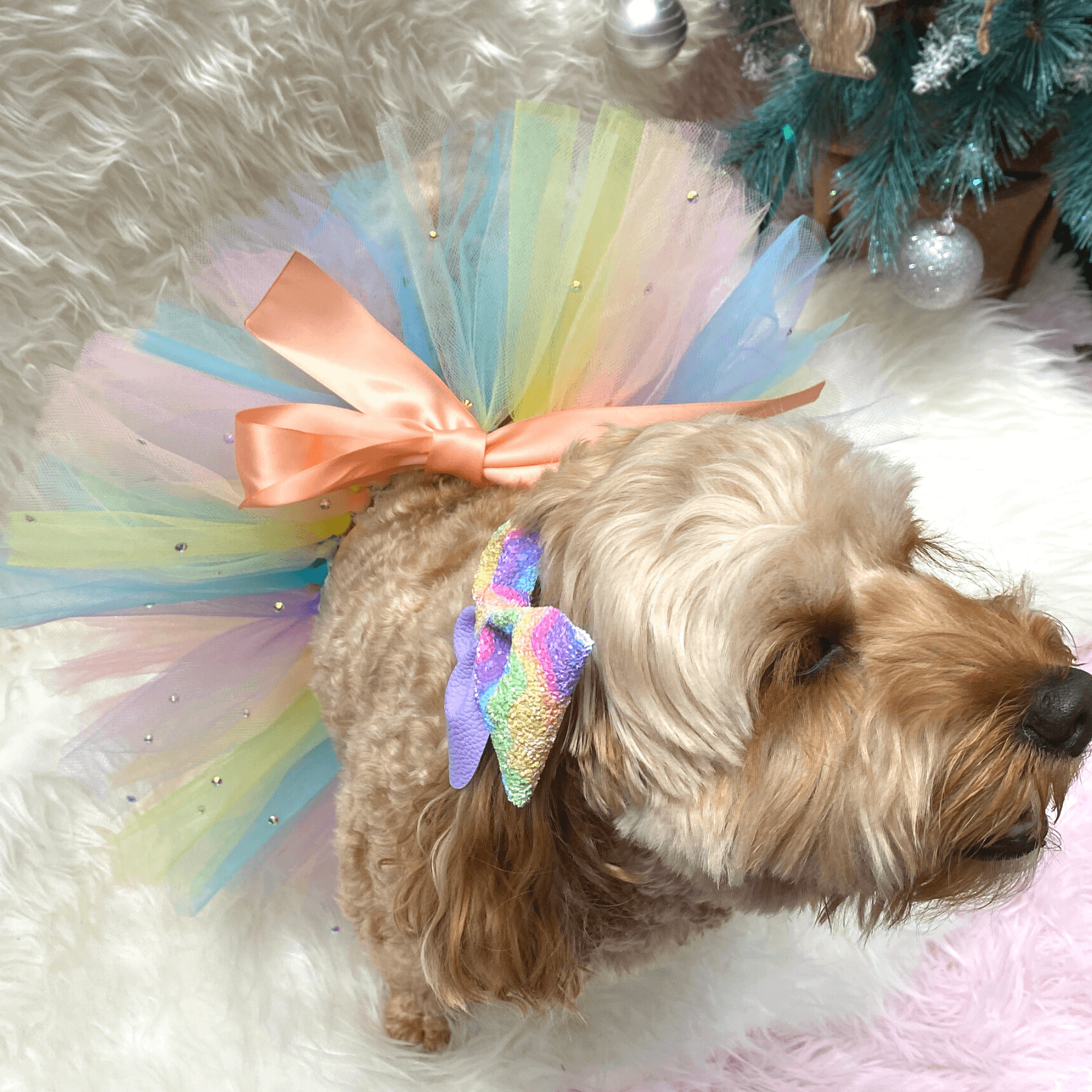 Dog party tutu, sailor bow, fashion accessories, let's pawty