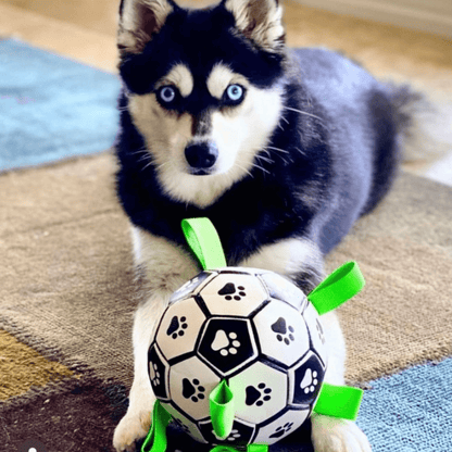 Let's Pawty Interactive dog soccer ball  Edit alt text