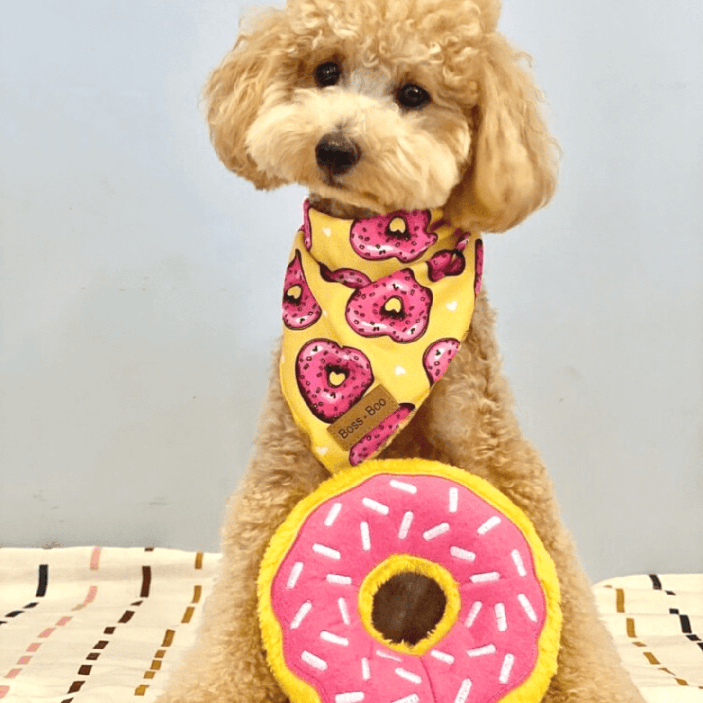 strawberry donut dog toy squeaker