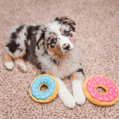 Squeaky dog toy blueberry Donutz, let's pawty 