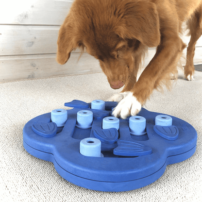 Interactive dog puzzle for mental stimulation Let's Pawty 