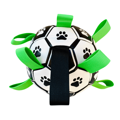 Dog lovers ball, interactive dog toy, fetch ball, sport ball, dog gift box, let's pawty 
