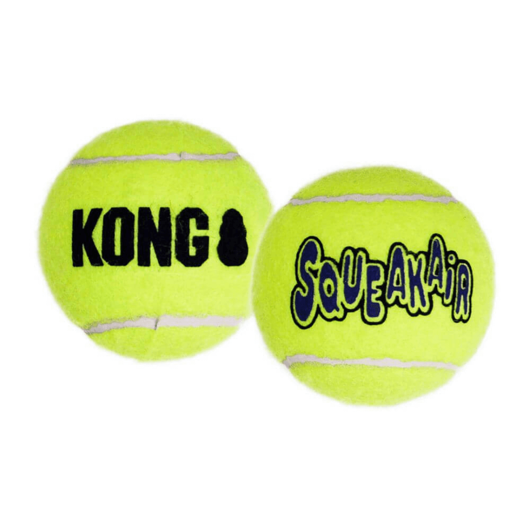 kong airdog squeaker balls dog toy Let's Pawty Sydney