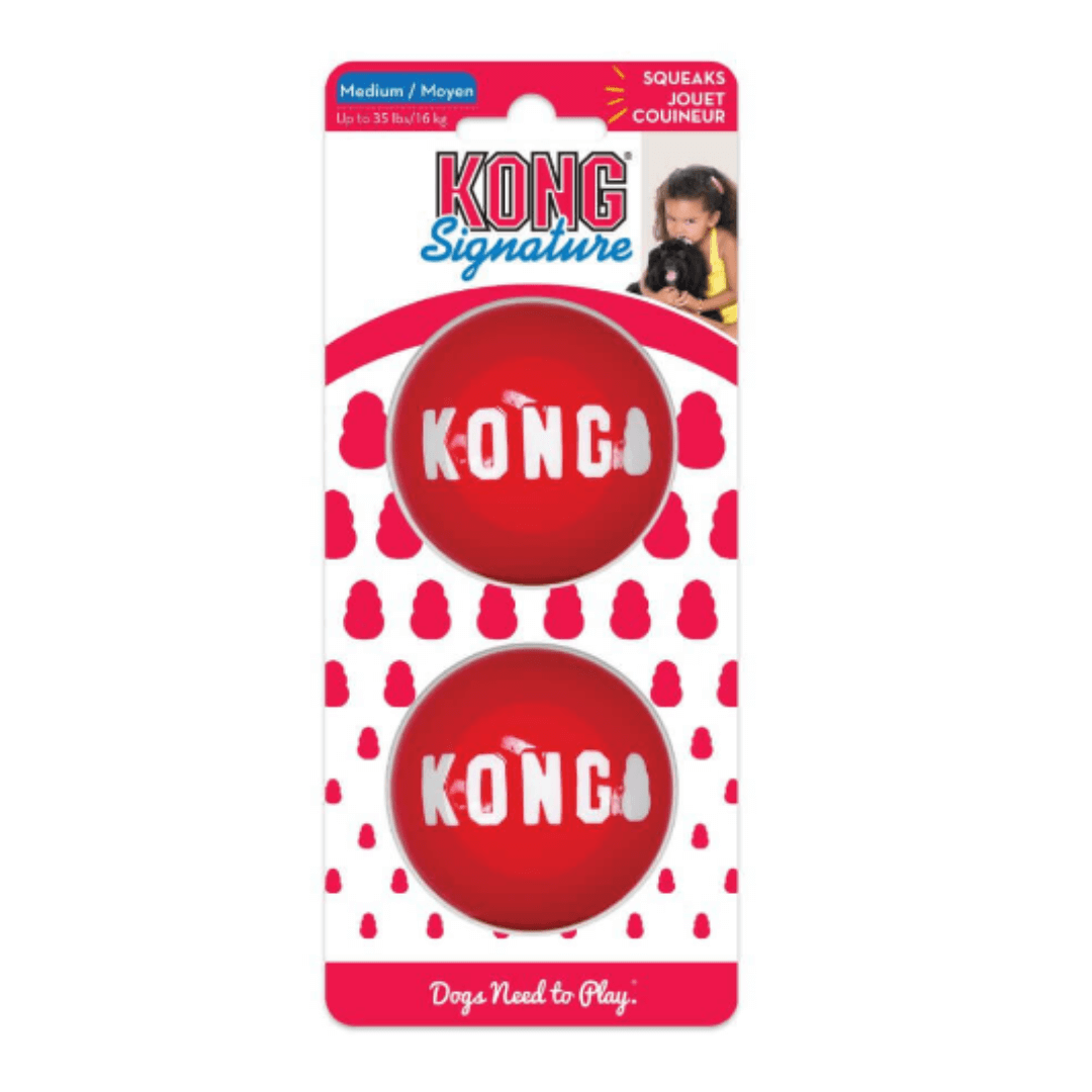 kong signature balls dog toy in medium Let's Pawty Sydney