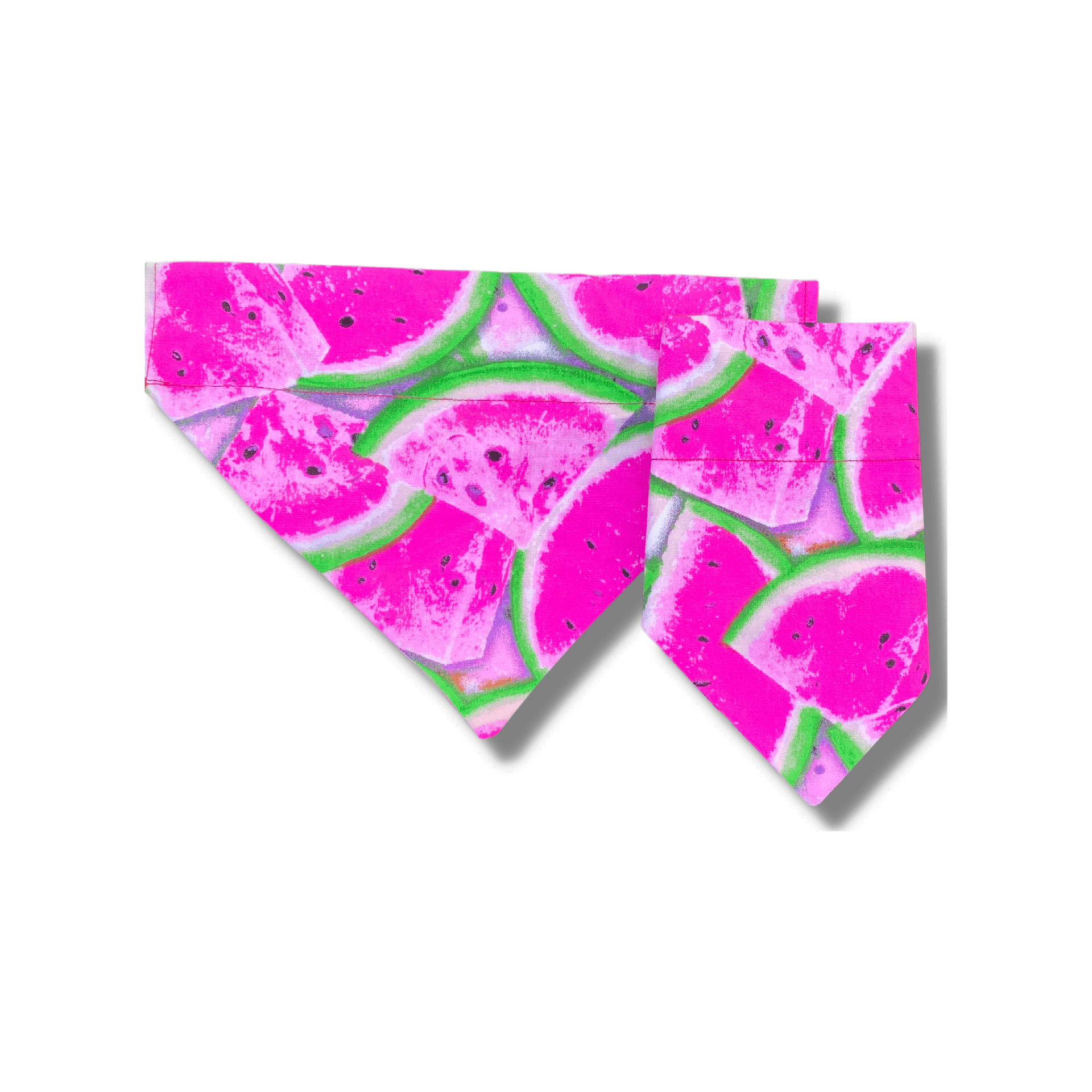 Reversible dog bandana, fashion accessory, let's pawty