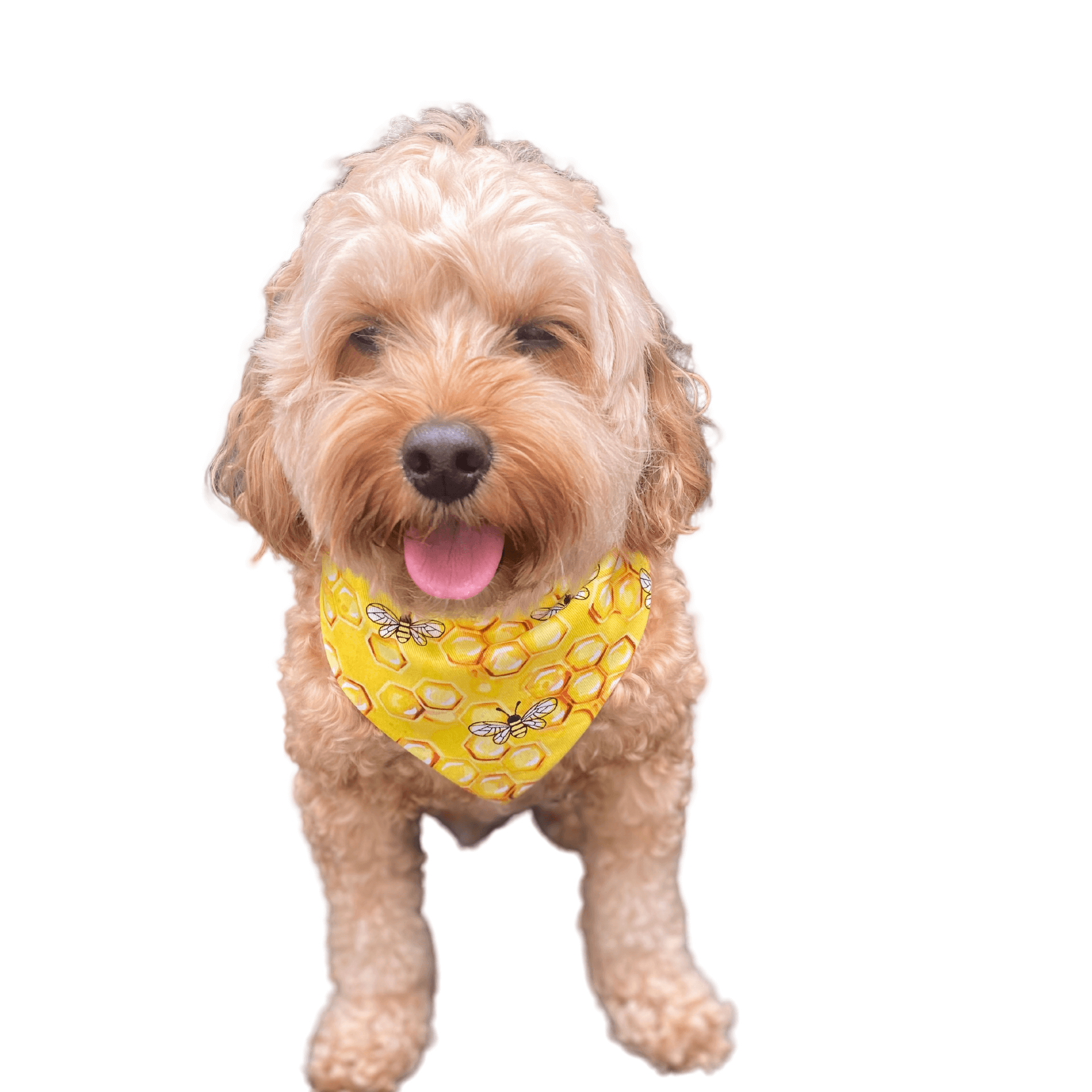 Reversible dog bandana, Dog clothing for your furbaby. Honeycomb and bees, handmade Let's Pawty 