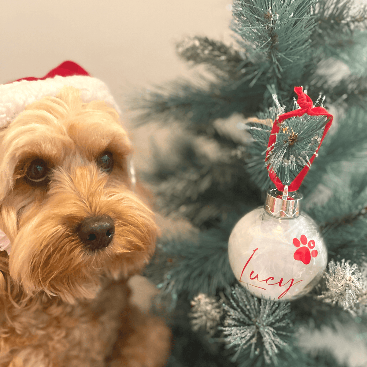 Christmas bauble personalised with your pet's name Let's Pawty