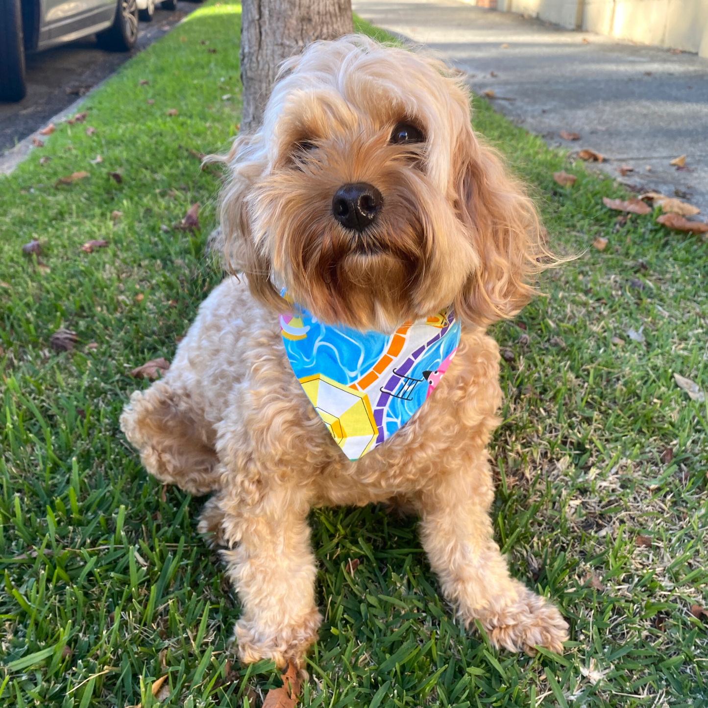 pool summer themed reversible dog bandana, handmade let's pawty