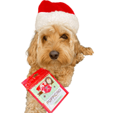 Puppicino probiotic eggnog drink for your dog