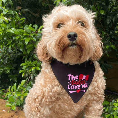 Reversible dog bandana, let's pawty, valentine themed