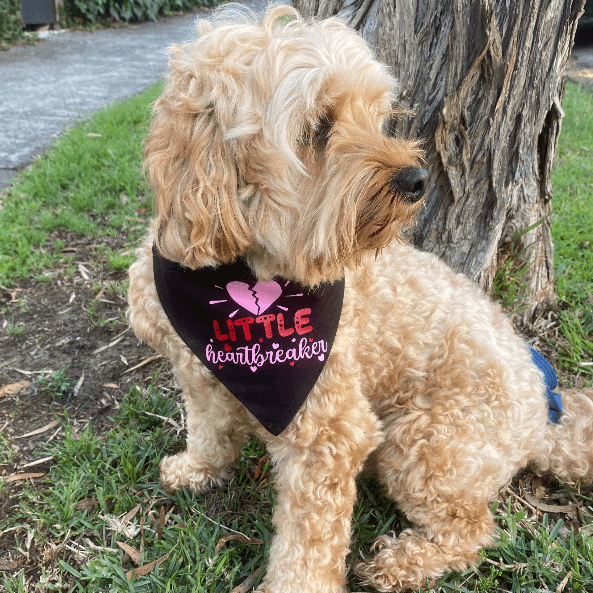 Valentine themed reversible dog bandana, let's pawty
