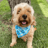 treats please reversible dog bandana, let's pawty handmade