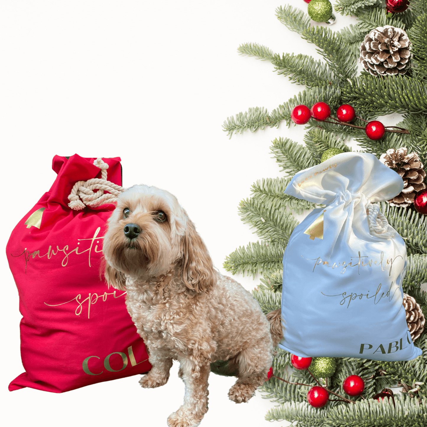 Let's Pawty personalised Santa sack for your furbaby to fill with dog toys, dog treat and accessories