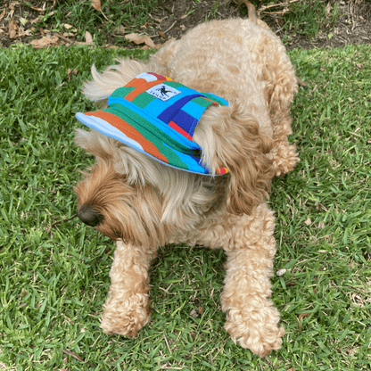 Protective sun hat for dogs to help shade the eyes let's pawty
