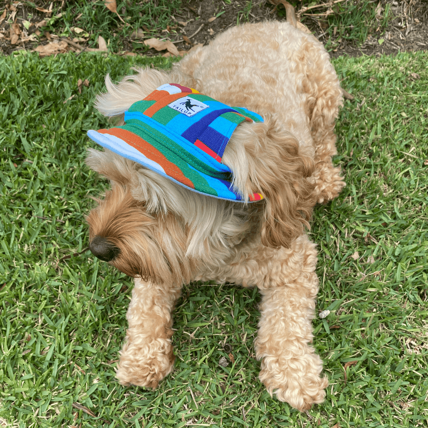 sun hat let's pawty, full brim, Mardi Gras, pride 