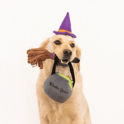 Halloween witch dog costume kit with hat and dog toys